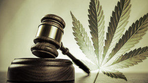 Hackensack NJ Marijuana Child Abuse Lawyers